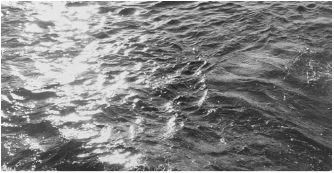 From the series Territorial Waters